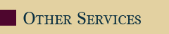 Other Services